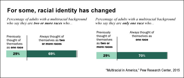 Race cultural identity essay