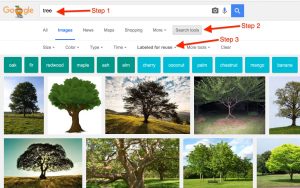 How to Google Image Search