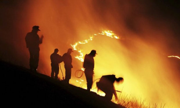 Forest fires (iStock)