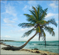 Paradise beach, Mexico (iStock)
