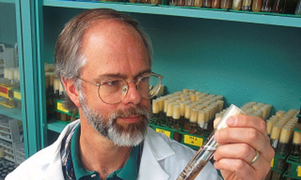 Scientist at work (iStock)