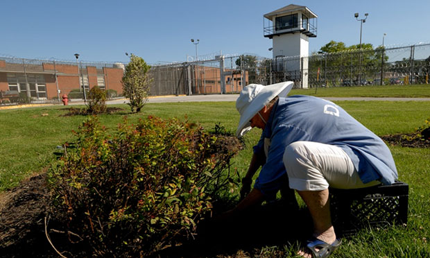 Prison education (dpscs.maryland.gov)