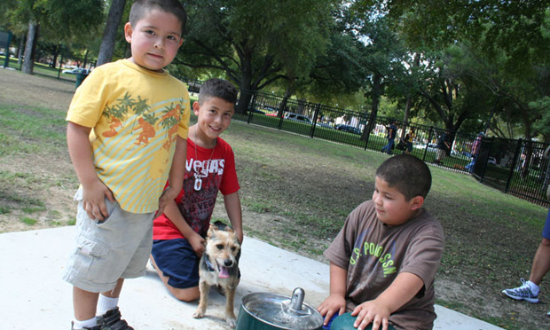 Unleash the Fun: Exploring the Benefits of Dog-Friendly Parks - 1. Exercise Opportunities in Dog-Friendly Parks