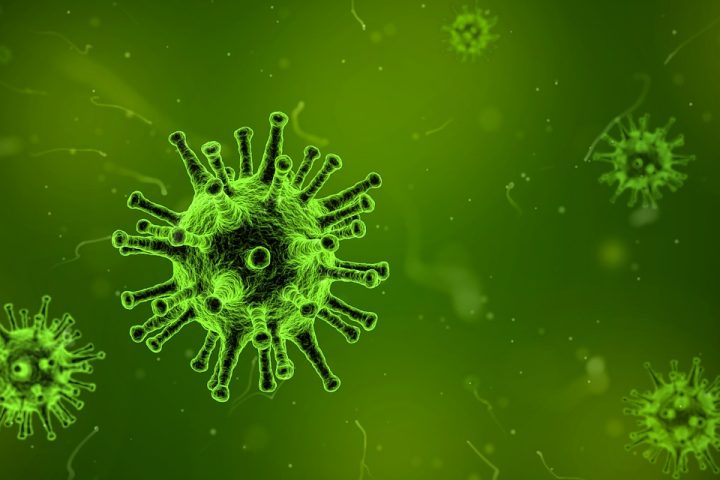 Virus-close-up-720x480.jpg?x20117