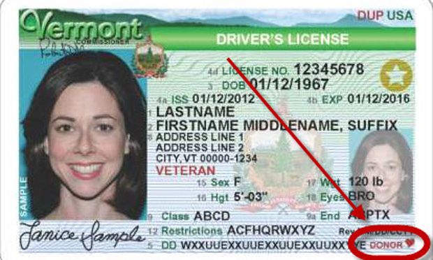 (dmv.vermont.gov)