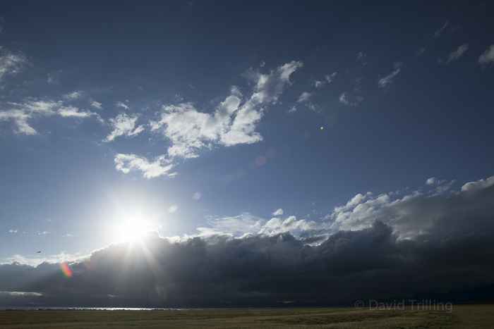 Daylight saving time: Research on health, car accidents and energy usage