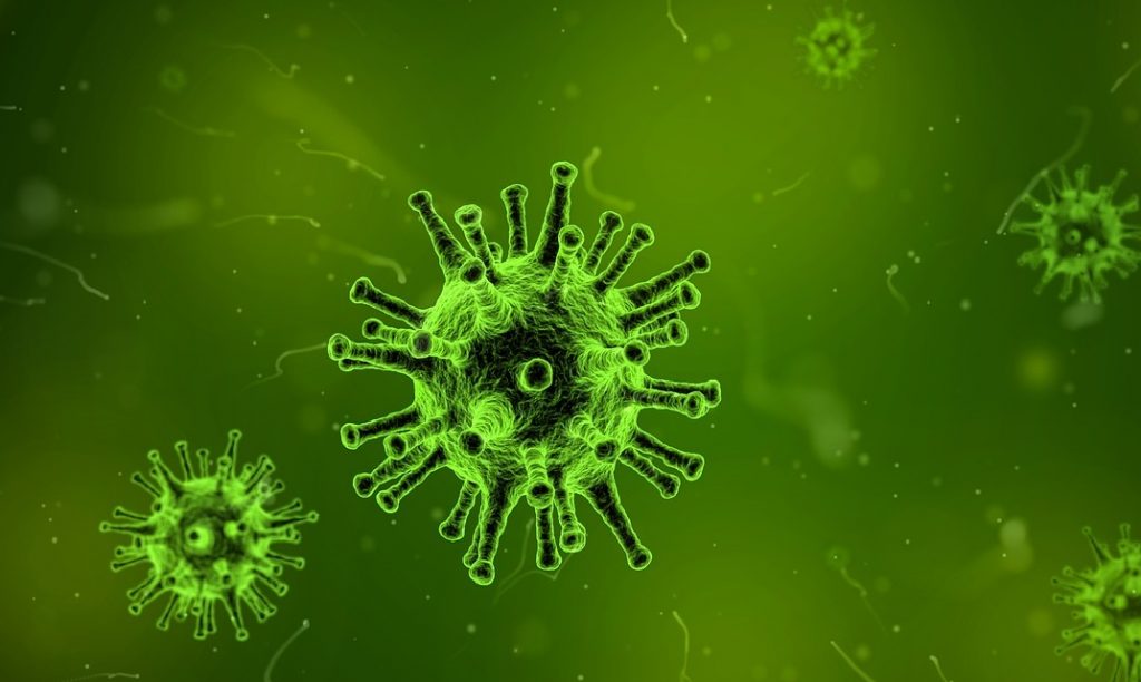 Virus