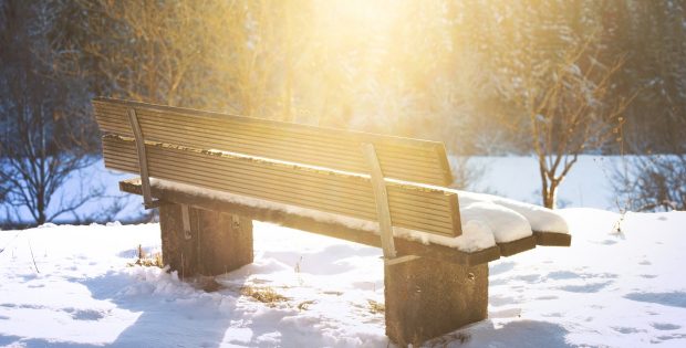 Bench covered in snow