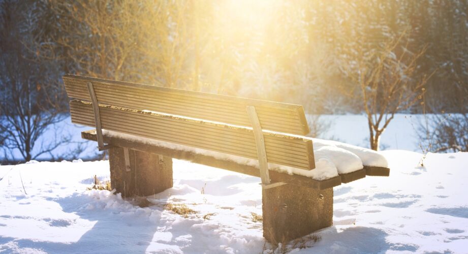 Bench covered in snow