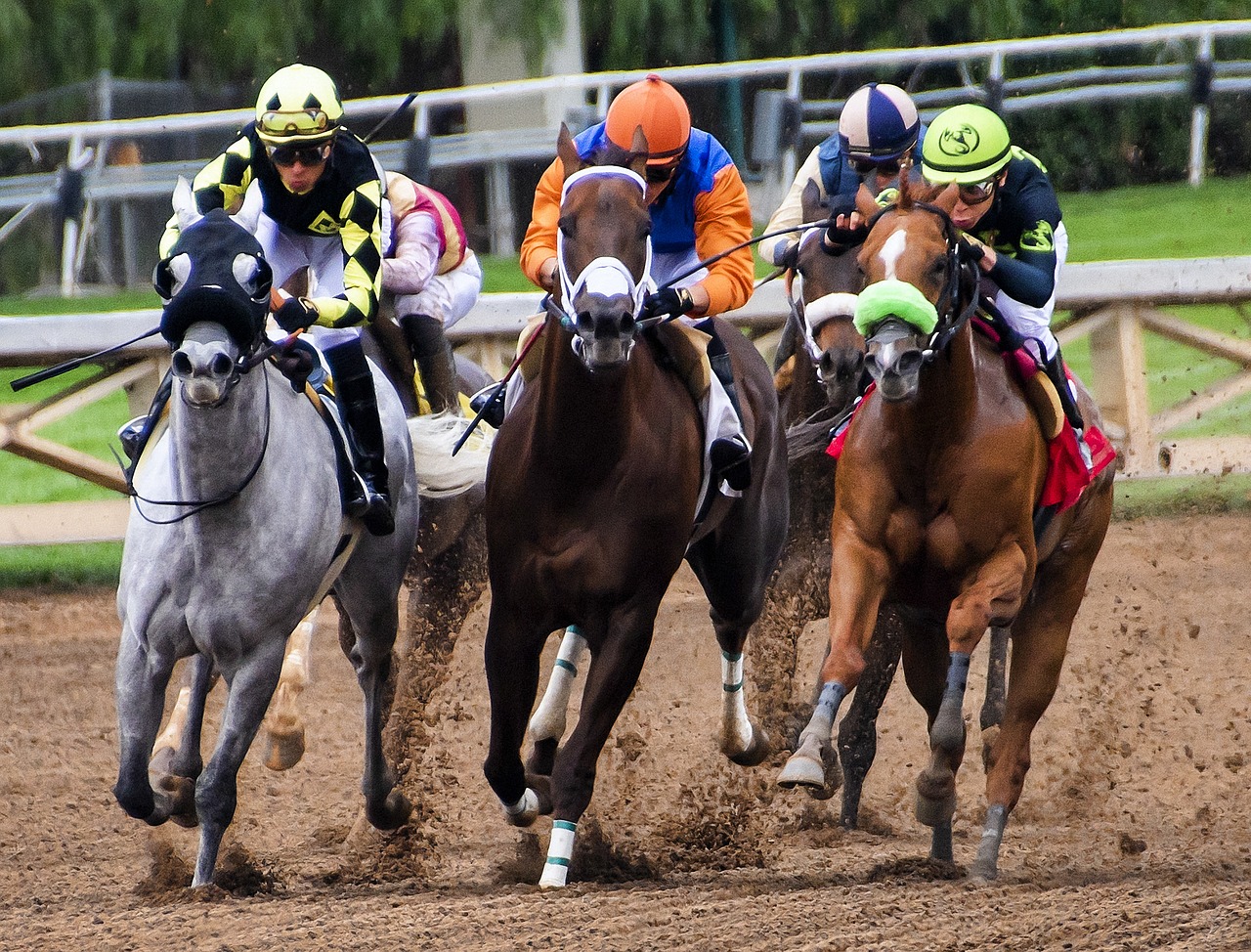 Horse Racing Courses In Southern England