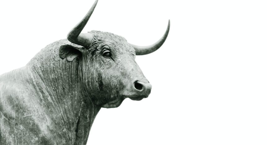 The next great bull market pdf free download free