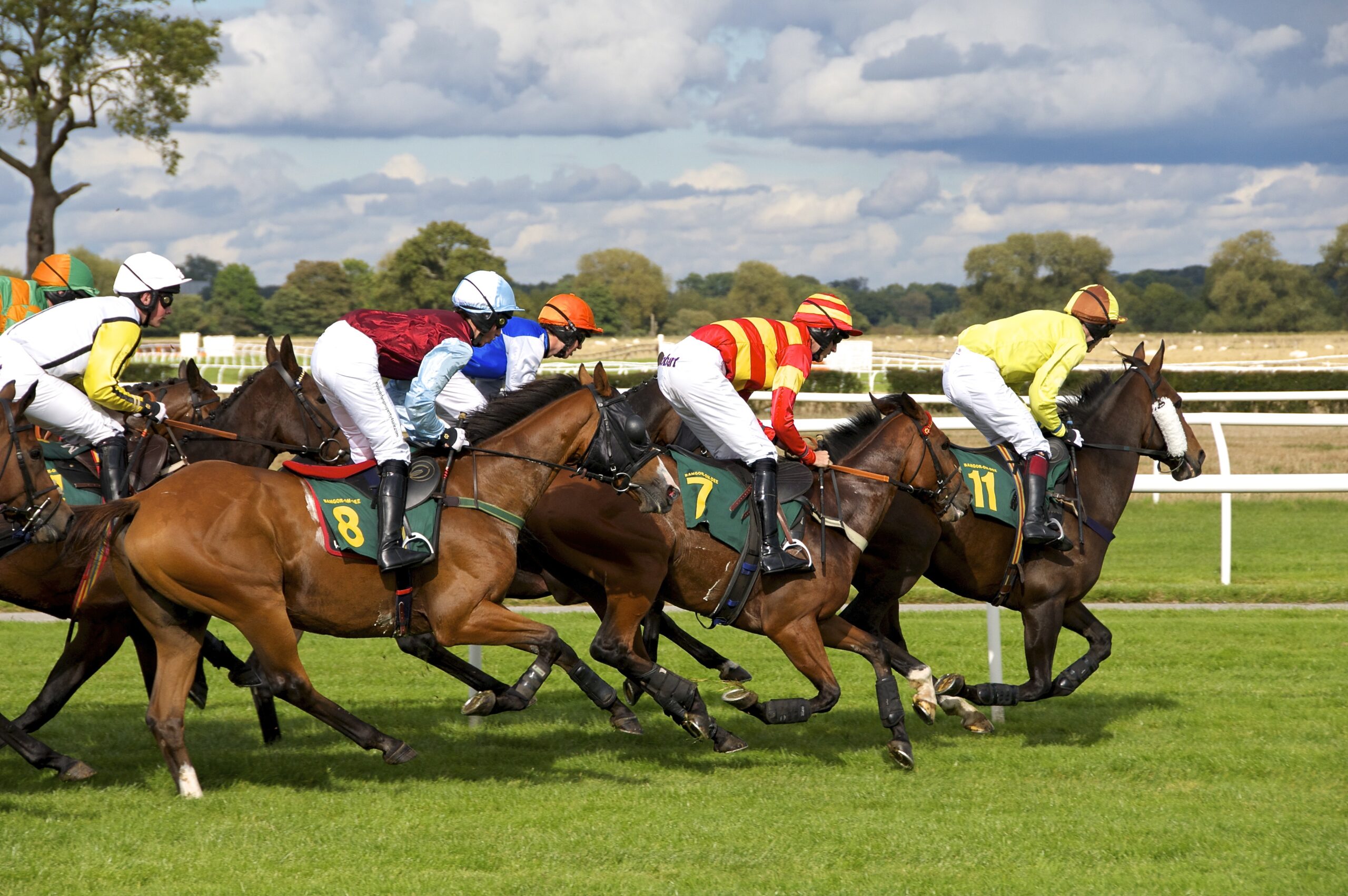 Typing Game: Horse Racing Typing