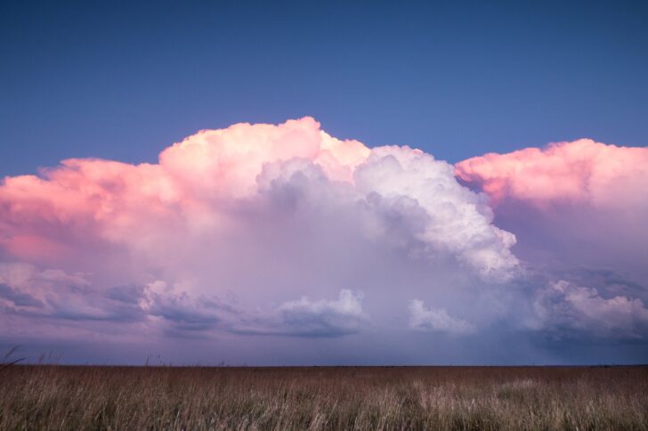 Environmental conservation in the farm bill: A research roundup