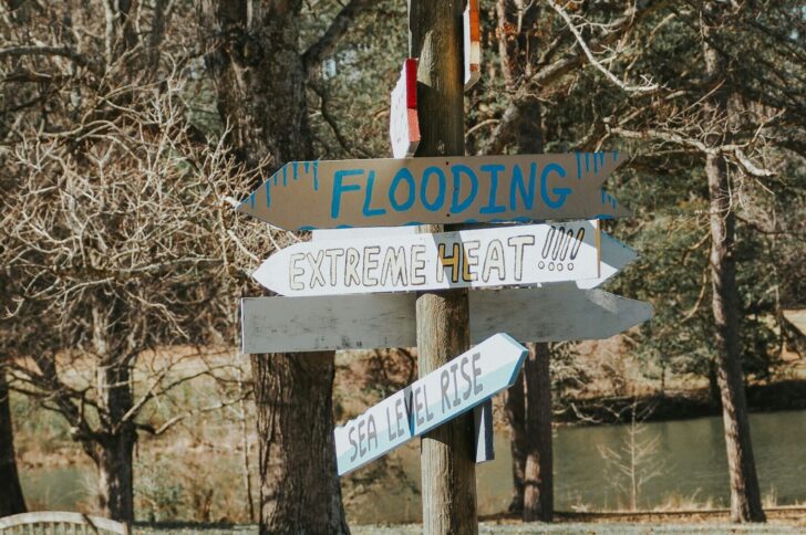 A journalist's guide to the climate risk data market