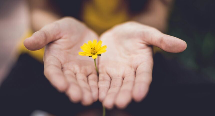 Peer support