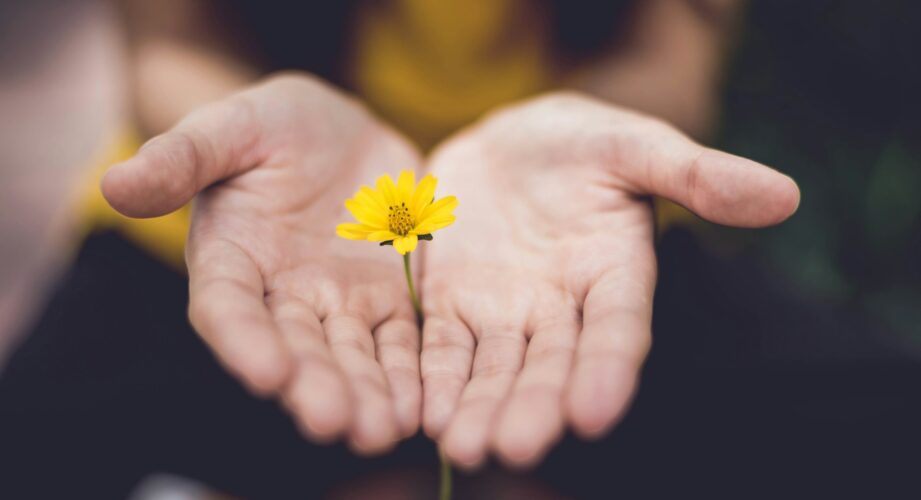 Peer support